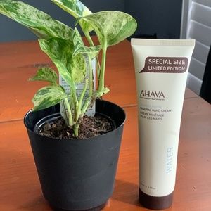 Brand new Ahava water hand cream